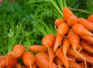 Les carottes et le cholestérol